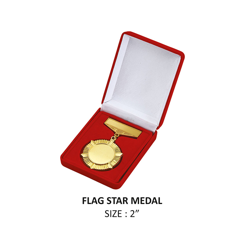 11-18FLAG-STAR-MEDAL-.jpg